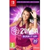505 žaidimai Zumba Burn It Up