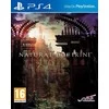 NIS NATŪRALUS DOKTRINAS – PlayStation 4