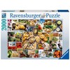 Food Collage 2000 Piece Puzzle - RAVENSBURGER dėlionė