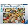 Food Collage 2000 Piece Puzzle - RAVENSBURGER dėlionė