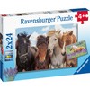 Ravensburger Dėlionė 2x24 vnt. - Arkliai