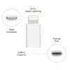 Sbox Technology „Sbox AD.IPH-TYPEC/R“ adapteris IPH/8 M. -> TYPE-C F.