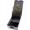 Grąžtas 25 dalių medžio grąžtų rinkinys FAMAG 1594.825 1-13mm