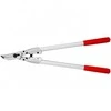 Genėjimo žirklės FELCO 200A-60