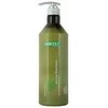 Angel Professional Aliejus sausiems plaukams Angel Refining Oil 60 ml