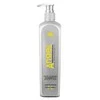 Angel Professional Šampūnas suteikiantis sidabrinį atspalvį plaukams Angel Pearl Glossing Šampūnas 500 ml