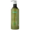 Angel Professional Šampūnas sausiems ir pažeistiems plaukams Dancoly Aroma Šampūnas Dry and Damaged Hair 1000 ml