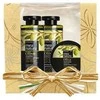 Rinkinys sausiems plaukams Farcom Mea Natura Olive 300x300x250 ml