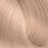 Farcom EXPERTIA Professional plaukų dažai 100 ml - 10.92