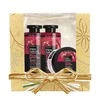 Rinkinys dažytiems plaukams Farcom Mea Natura Pomegranate 300x300x250 ml