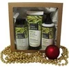 Kūno priežiūros rinkinys Farcom Mea Natura Olive 300x200ml