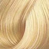 Kadus Professional Kadus Extra Rich Creme Permanent plaukų dažai 60ml - 12.0