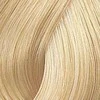 Kadus Professional Kadus Extra Rich Creme Permanent plaukų dažai 60ml - 12.1