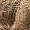 Kadus Professional Kadus Extra Rich Creme Permanent plaukų dažai 60ml - 8.07