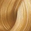 Kadus Professional Kadus Extra Rich Creme Permanent plaukų dažai 60ml - 9.3