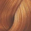 Kadus Professional Kadus Extra Rich Creme Permanent plaukų dažai 60ml - 8.34