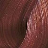Kadus Professional Kadus Extra Rich Creme Permanent plaukų dažai 60ml - 6.41