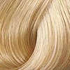 Kadus Professional Kadus Extra Rich Creme Permanent plaukų dažai 60ml - 10.38