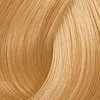 Kadus Professional Kadus Extra Rich Creme Permanent plaukų dažai 60ml - 9.7