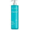 Revlon Equave Instant Beauty Detangling micelinis Šampūnas, 485 ml