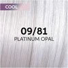 Plaukų dažai Wella Professionals Shinefinity Glaze 60ml - 09/81