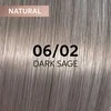 Plaukų dažai Wella Professionals Shinefinity Glaze 60ml - 06/02