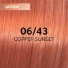 Plaukų dažai Wella Professionals Shinefinity Glaze 60ml - 06/43