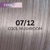Plaukų dažai Wella Professionals Shinefinity Glaze 60ml - 07/12