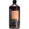 Plaukų šampūnas nepaklusniems plaukams Rica Natura’rt Frizz Control Šampūnas 1000ml