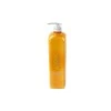 Angel Professional Šampūnas dažytiems plaukams Angel Marine Gylis SPA Šampūnas Coloured Hair 500 ml