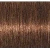 Schwarzkopf Igora Royal Absolutes ilgalaikio poveikio žilų plaukų dažai 60 ml - 6-460