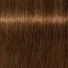 plaukų dažai Schwarzkopf Igora Royal Absolutes 8-60 60ml