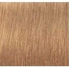 Schwarzkopf Igora Royal Absolutes ilgalaikio poveikio žilų plaukų dažai 60 ml - 9-560