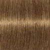 Schwarzkopf Igora Royal Absolutes ilgalaikio poveikio žilų plaukų dažai 60 ml - 9-460