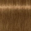 Schwarzkopf Igora Royal Absolutes ilgalaikio poveikio žilų plaukų dažai 60 ml - 9-460