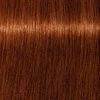 Schwarzkopf Igora Royal Absolutes ilgalaikio poveikio žilų plaukų dažai 60 ml - 6-70