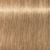 Schwarzkopf Igora Royal Absolutes ilgalaikio poveikio žilų plaukų dažai 60 ml - 9-40