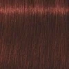 Schwarzkopf Igora Royal Absolutes ilgalaikio poveikio žilų plaukų dažai 60 ml - 5-80