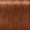 Schwarzkopf Igora Royal Absolutes ilgalaikio poveikio žilų plaukų dažai 60 ml - 7-560