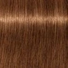 Schwarzkopf Igora Royal Absolutes ilgalaikio poveikio žilų plaukų dažai 60 ml - 7-60