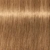 Schwarzkopf Igora Royal Absolutes ilgalaikio poveikio žilų plaukų dažai 60 ml - 8-50