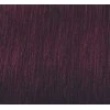 Schwarzkopf Igora Royal ilgalaikio poveikio plaukų dažai 60 ml - 6-99