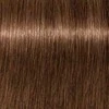 plaukų dažai Schwarzkopf Igora Royal 6-65 60ml