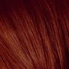 Schwarzkopf Igora Royal ilgalaikio poveikio plaukų dažai 60 ml - 6-88