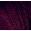 Schwarzkopf Igora Royal ilgalaikio poveikio plaukų dažai 60 ml - 4-99