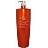 Angel Professional Spalvą apsaugantis šampūnas, dažytiems plaukams Angel Expert Color- Lock Šampūnas 2000ml