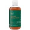 Spalvą išsaugantis šampūnas dažytiems plaukams Paul Mitchell Tea Tree Special Color Šampūnas 300 ml