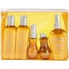 Angel Professional Kelioninis rinkinys krepšelyje sausiems ir normaliems plaukams Angel Marine Dry Neutral (5vnt)