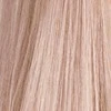 Tonavimo kremas Wella Blondor Plex 60 ml - /16