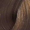 Plaukų dažai Wella Professionals Color Touch 60ml - 6/71